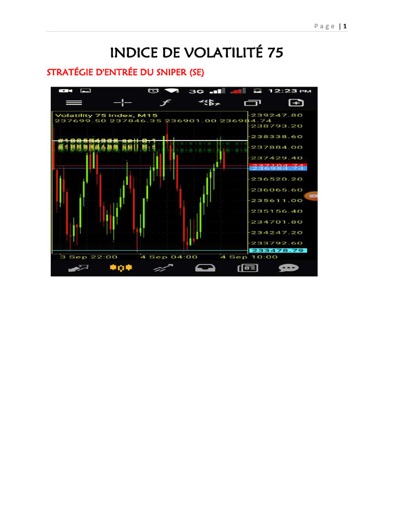 Stratégie de Trading pour VIX 75 | PDF | Droit
