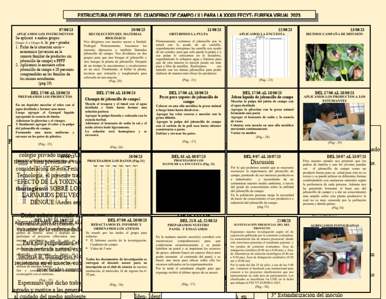 2C - Ast - Cuaderno de Campo - Ii - 2023 | PDF