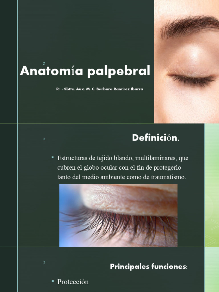 anatom-a-palpebral-descargar-gratis-pdf-anatom-a-anatom-a-humana
