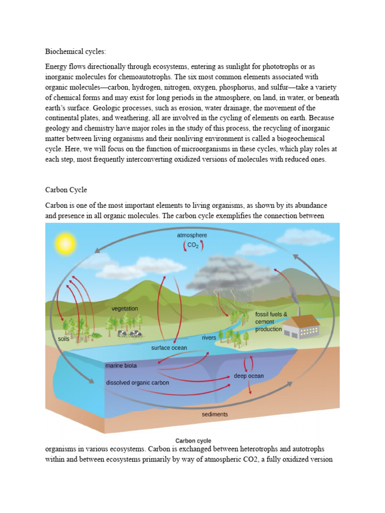 Biochemical Cycles Pdf Sulfur Environmental Science