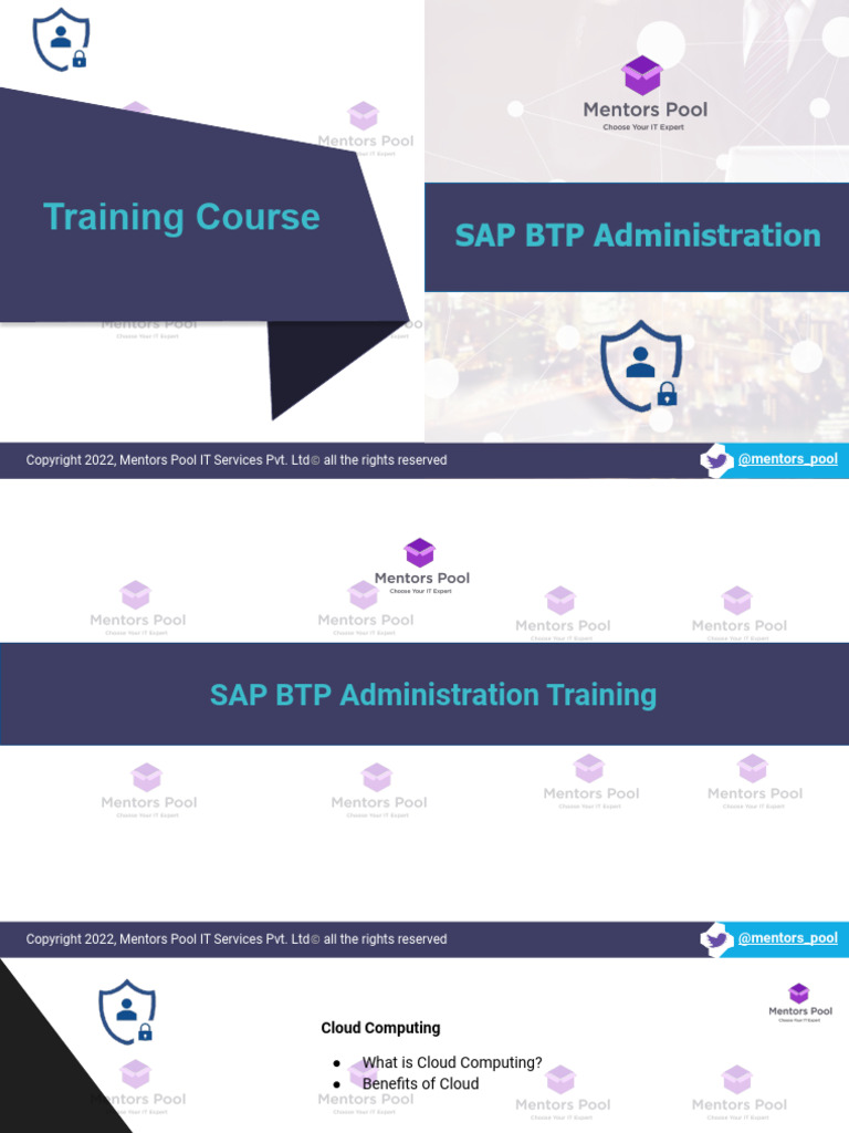 SAP BTP Admin Training Course PDF Cloud Computing Access Control