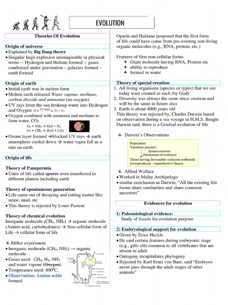 Evolution Powerful Biology Notes | PDF