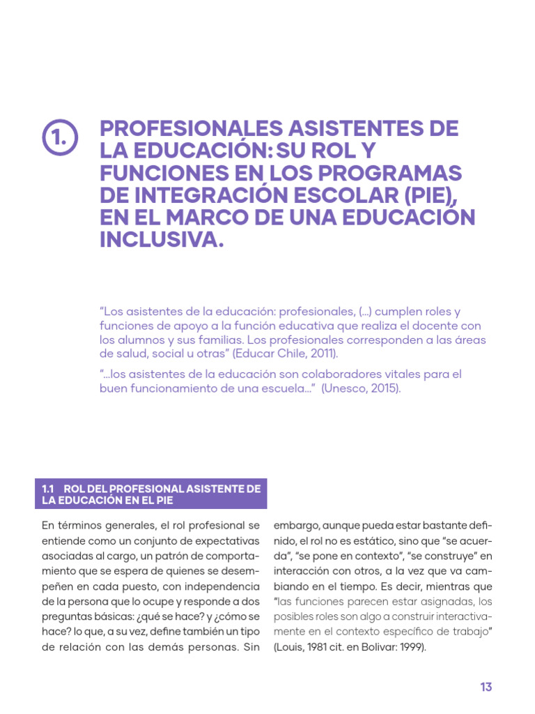 Rol de Profesionales de Apoyo MINEDUC | PDF | Evaluación | Aprendizaje