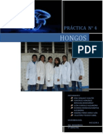 Practica 4. Hongos