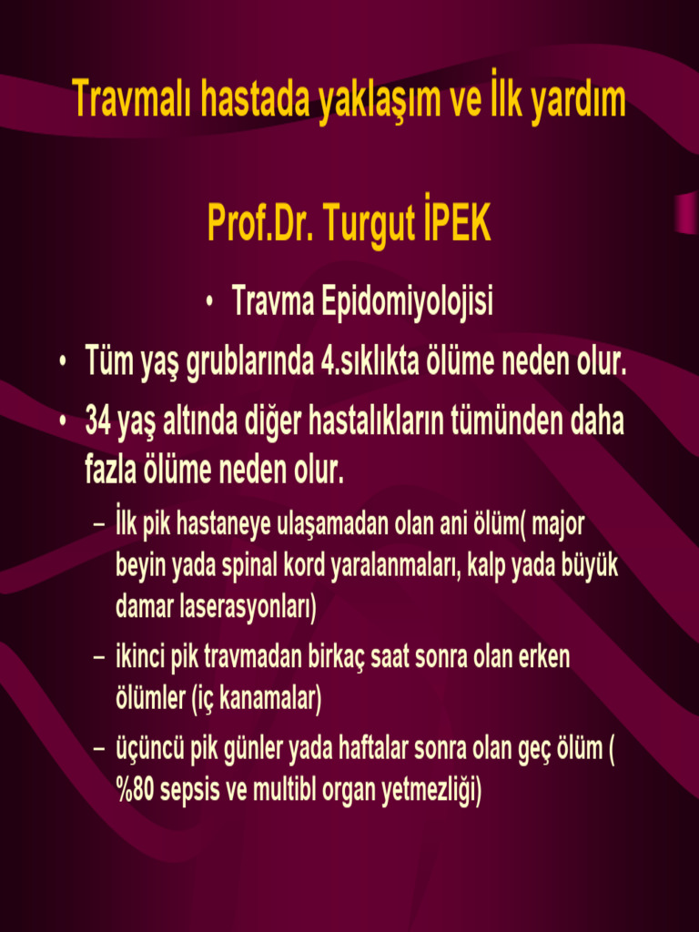 Travmali Hastaya Yaklasim Ilk Yardim PDF