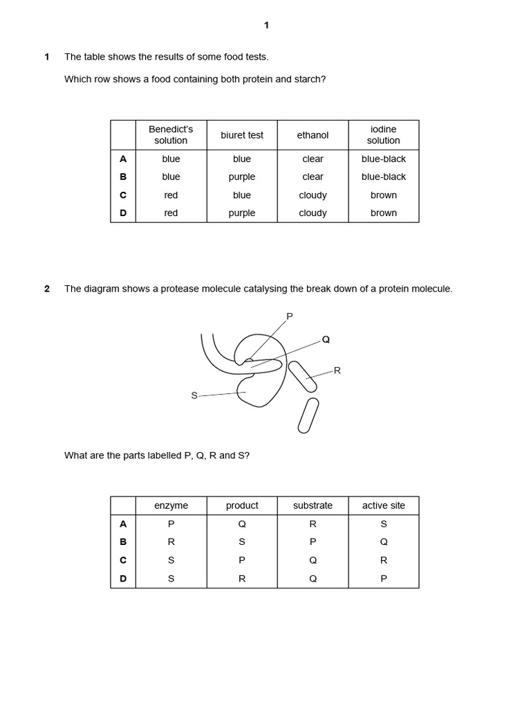 Form 4 End Of Term Two Biology Ii Pdf Photosynthesis Enzyme