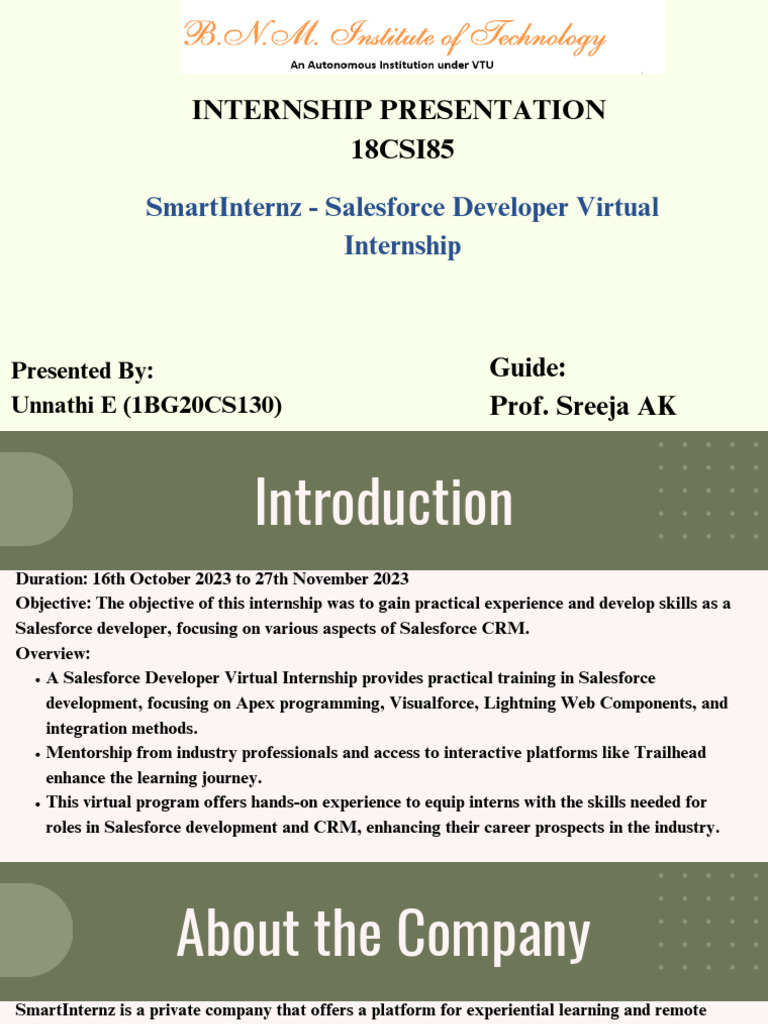 Salesforce Developer Internship Overview | PDF | Automation ...