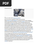 Download Dampak bencana alam by Iva Rosa Nasution SN75151909 doc pdf