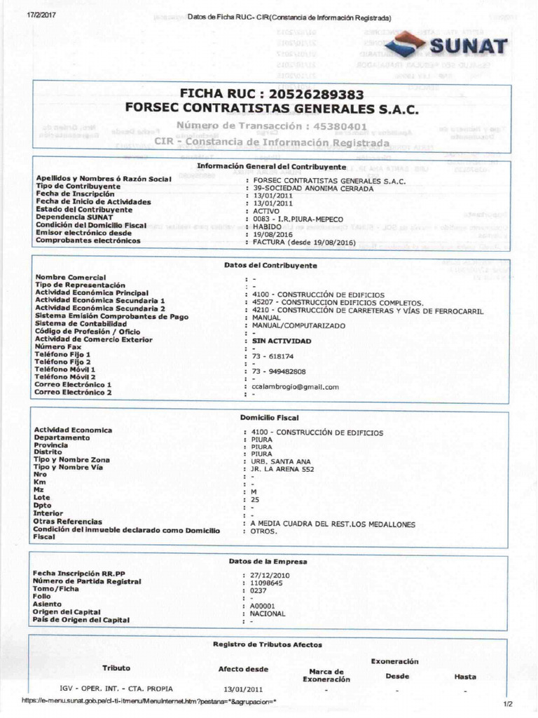 Ficha Ruc Forsec | PDF