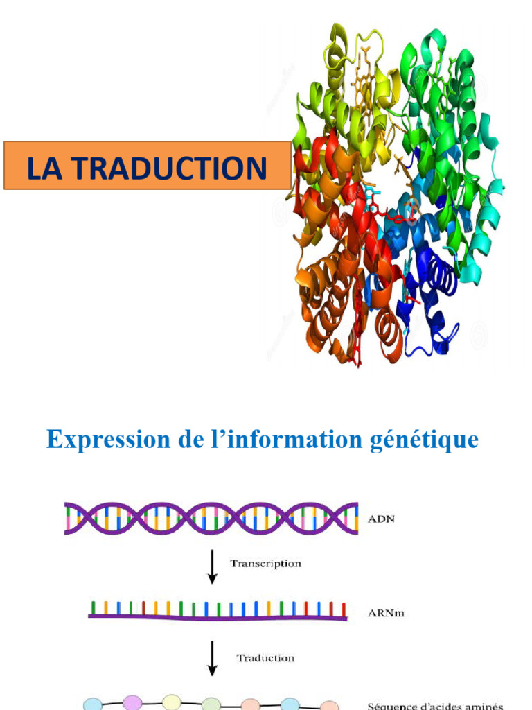 Cours Traduction FMT 2021 | PDF | Traduction génétique | Acide ...