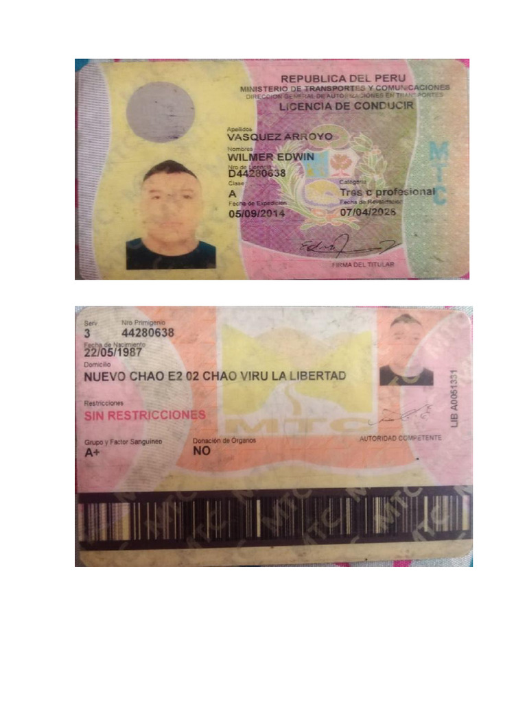 Licencia vasquez arroyo pdf