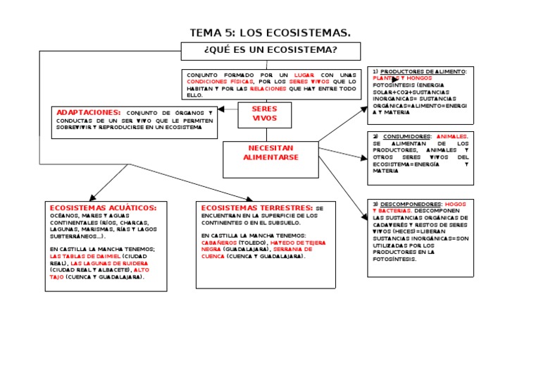 Mapa Conceptual Tema 5 Los Ecosistemas | PDF