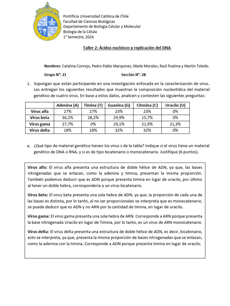 Taller: Ácidos Nucleicos y Replicación | PDF | Replicación De Adn | Adn