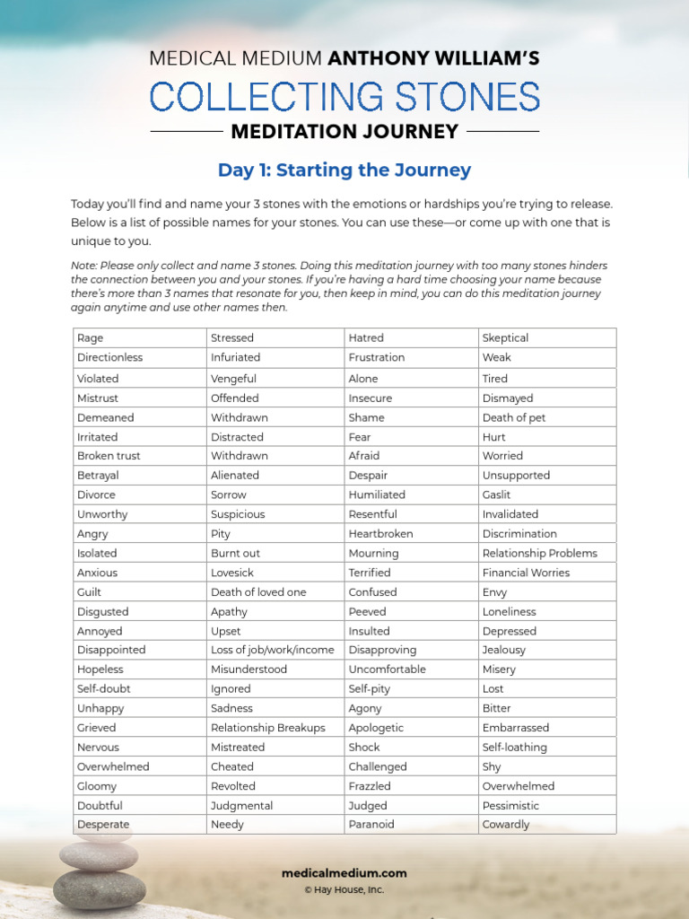 Stones Meditation Journey by Medical Medium-Day-1 | PDF | Behavioural ...