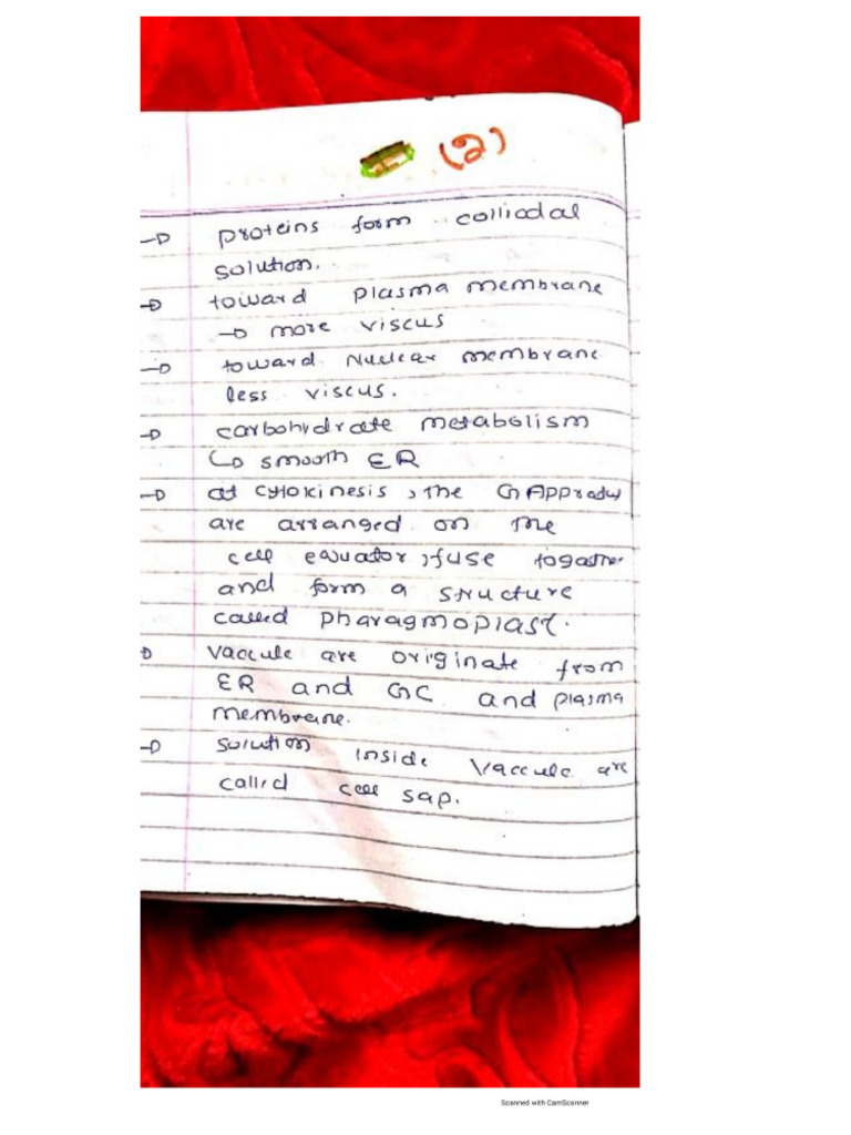 Chapter 3 Cell Structure-2 | PDF