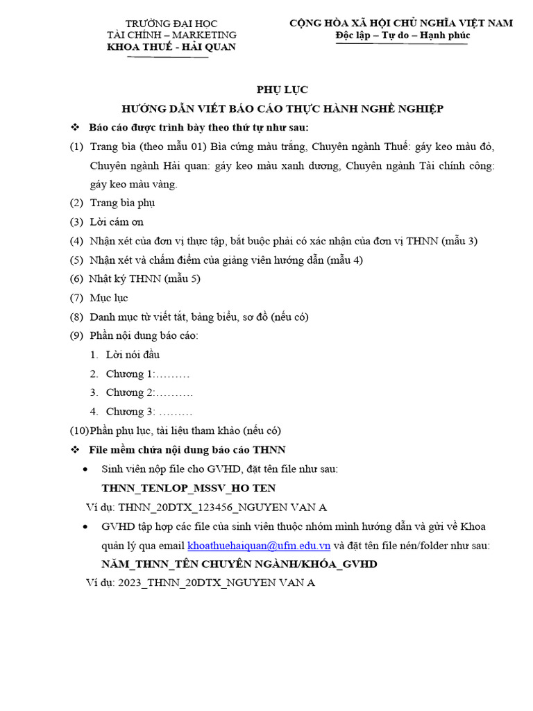 Phu luc huong dan co ban hinh thuc viet bao cao thuc hanh nghe nghiep