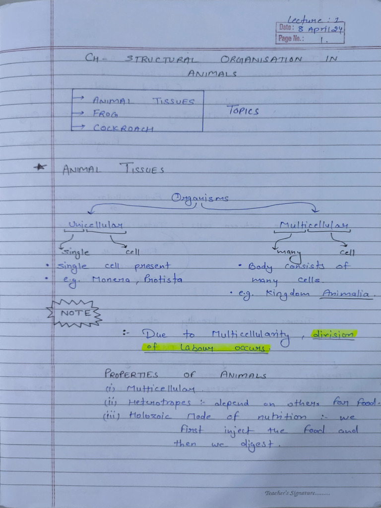 class-11th-biology-chapters-structural-organisation-in-animals