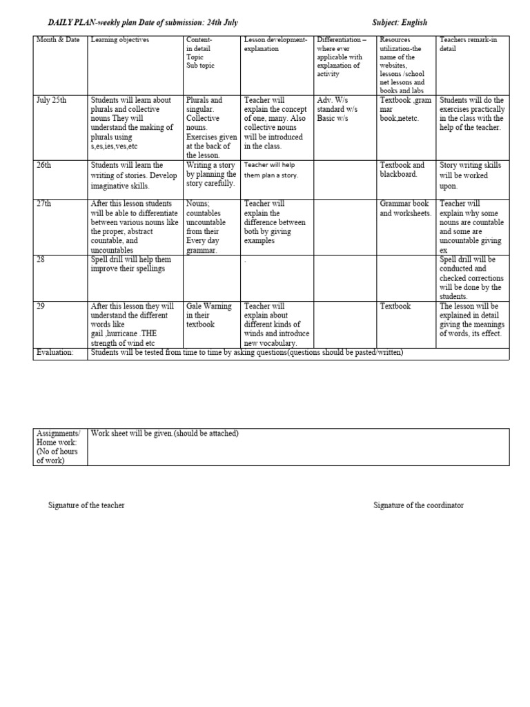 daily-plan-format-pdf-noun-plural