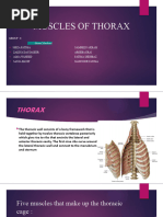 Chest Muscles Anatomy Chart | PDF