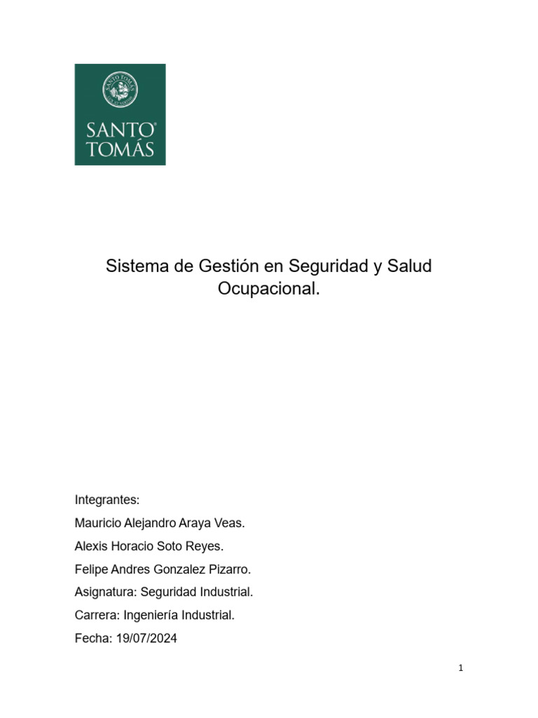 Sistema de Gestion de SGSSO Ultimo | PDF | Riesgo | Seguridad y salud ...