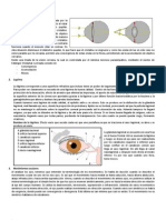 Fisiología Ocular