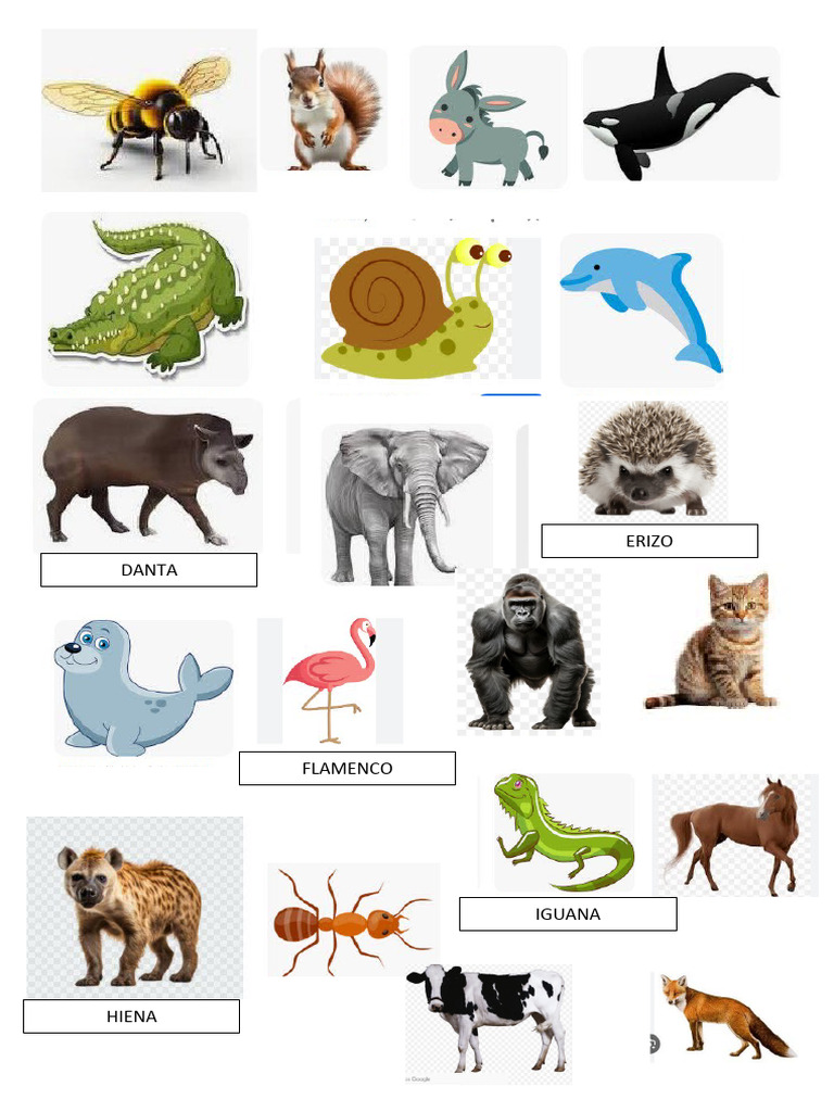 Animales | PDF