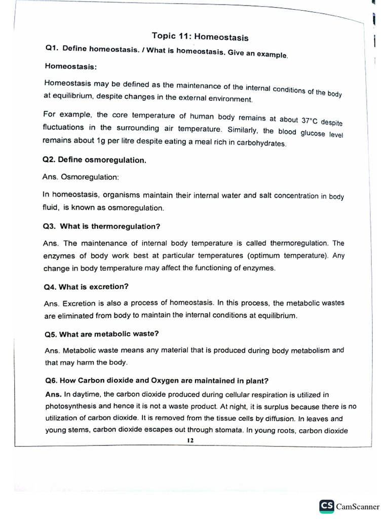 Biology Chap 11 Homeostasis | PDF