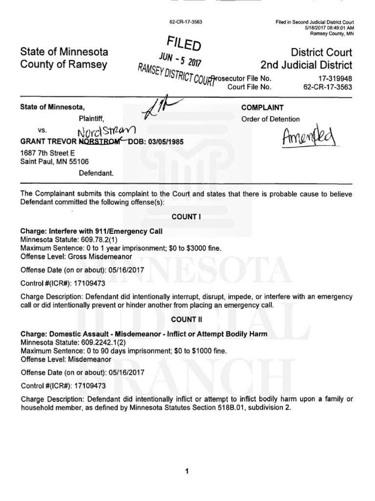 Minnesota Domestic Assault Case 62-CR-17-3563 | PDF | Arrest Warrant ...