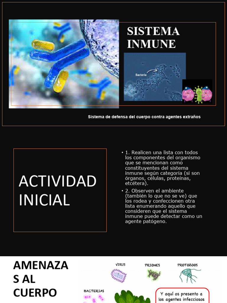Componentes y Funciones del Sistema Inmune | PDF | Sistema inmune ...
