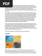 Download mitokondria by Siska Alicia Farma SN75190322 doc pdf