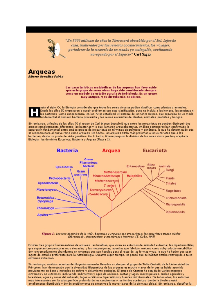 Arqueas PDF Archaea Biología Celular)
