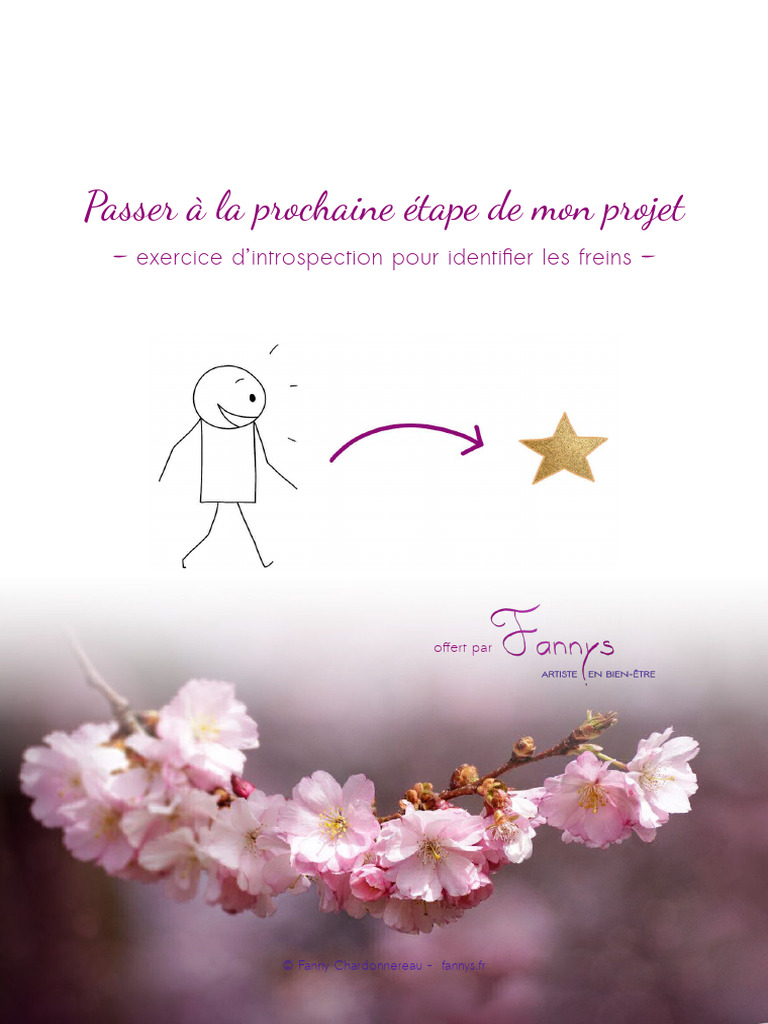 Prochaine étape de mon projet | PDF