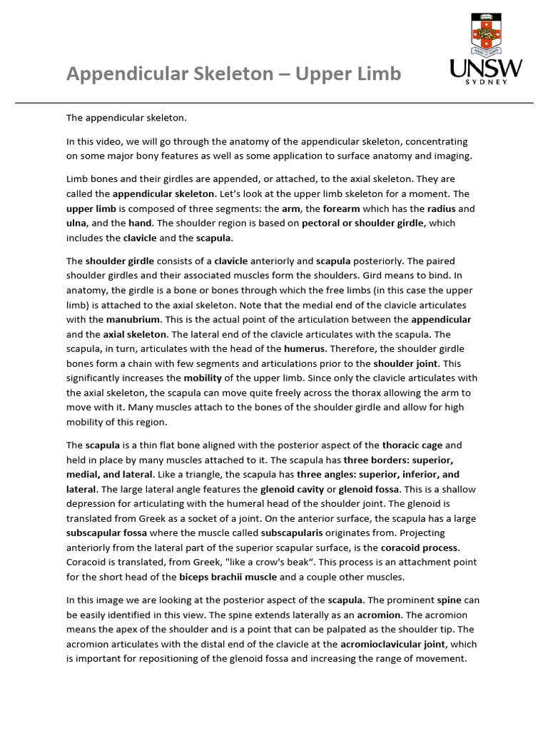 Appendicular Skeleton - UL - Transcript | PDF | Elbow | Shoulder