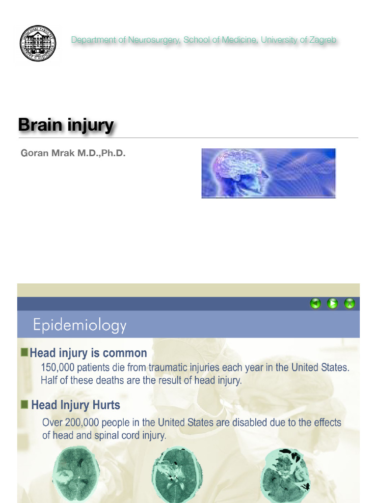 Brain injury | PDF | Traumatic Brain Injury | Concussion