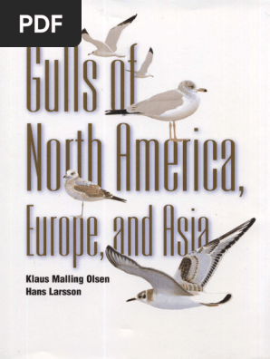 Gulls of North America, Europe, and Asia. K.M. Olsen, H. Larsson