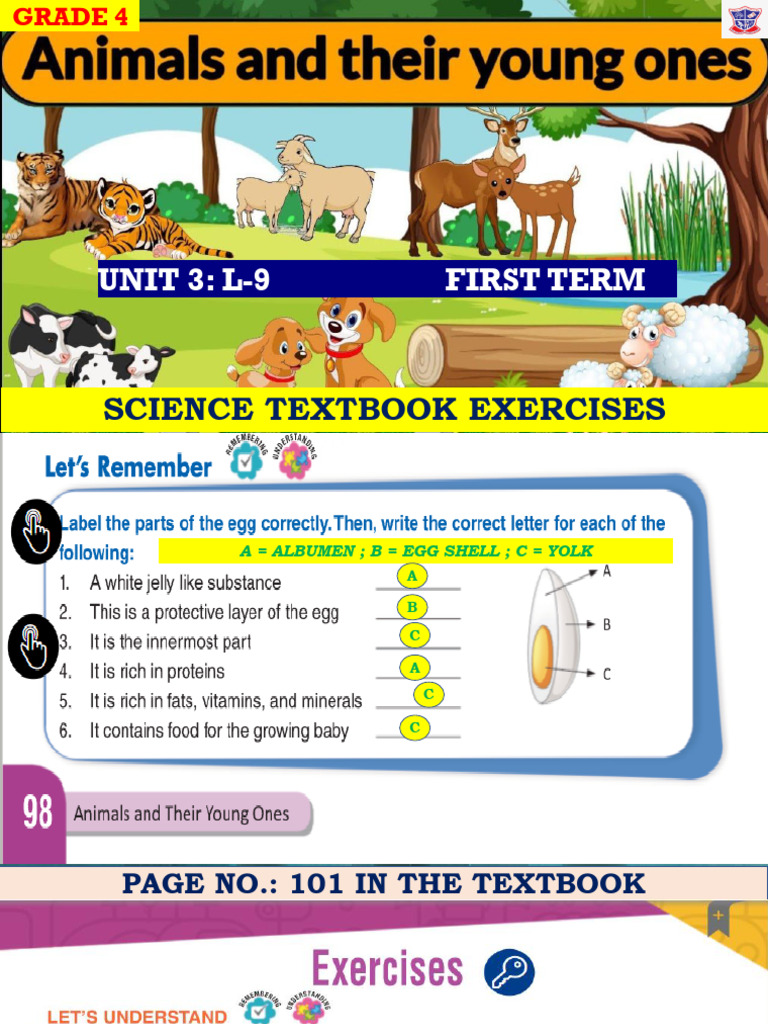 Answer Key - GR4 Science - L9 Animals and Their Young Ones Textbook ...