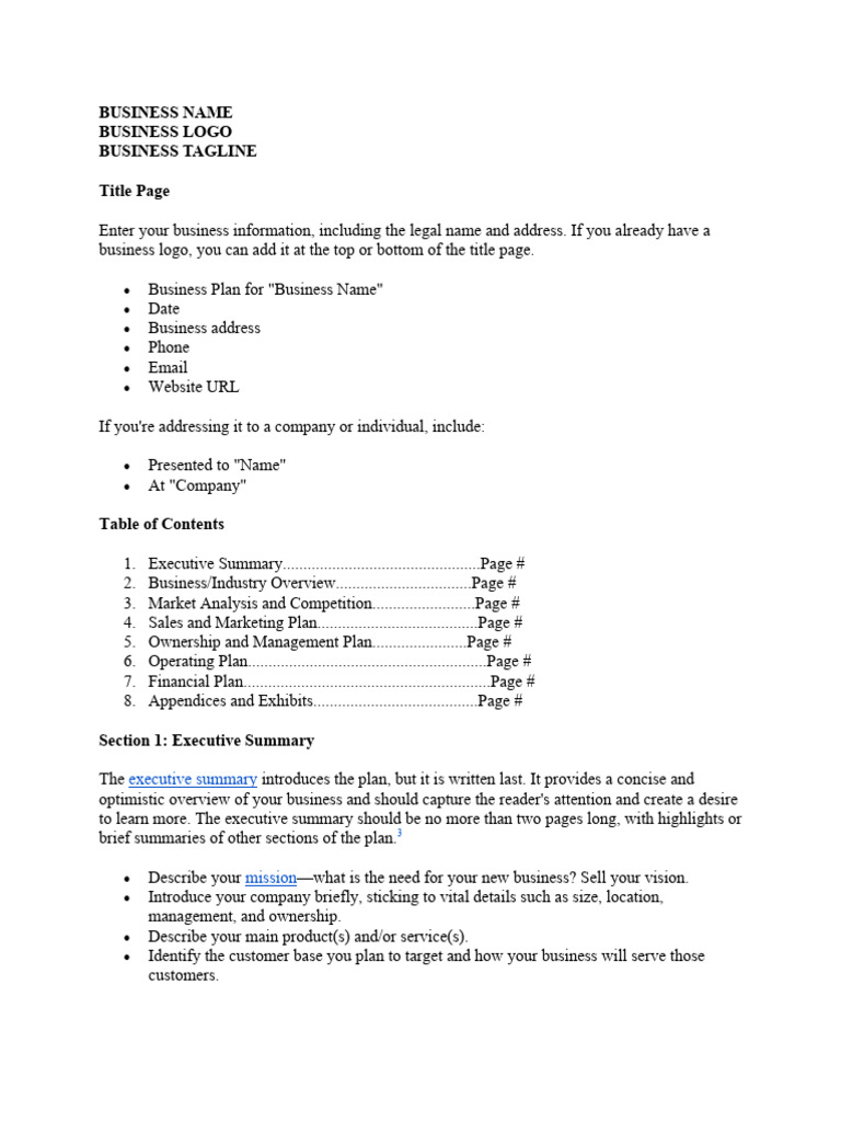 Business Plan Format Examples Free Download