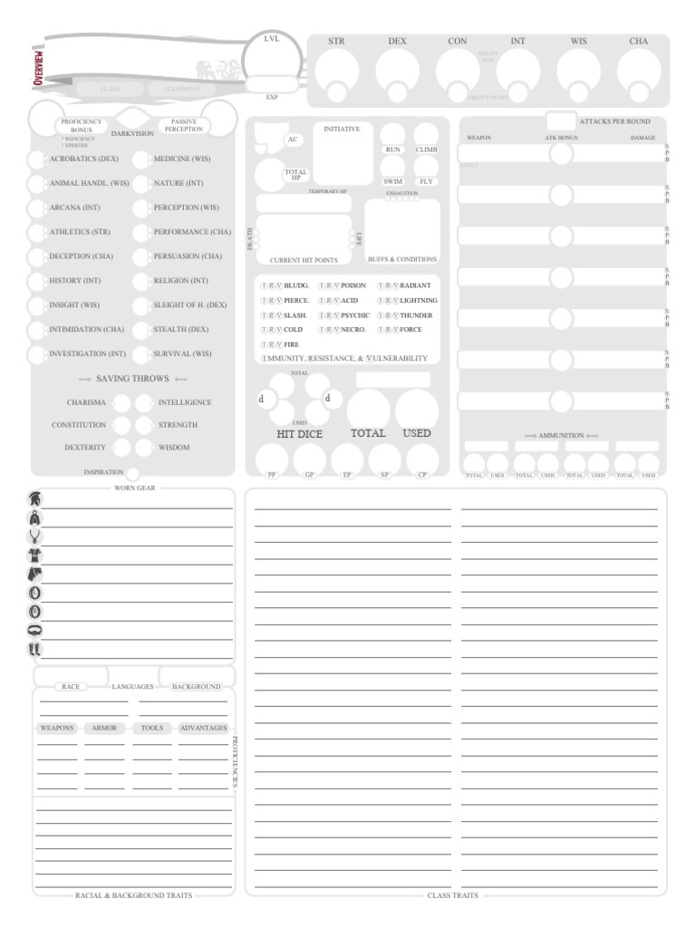 D&D Character Sheet Overview | PDF | Entertainment | Role Playing Games