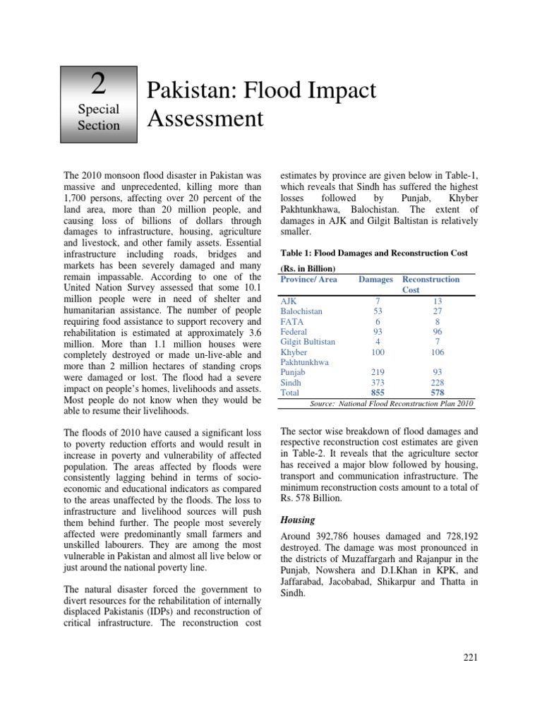 Pakistan 2010 Flood Damage Assessment | PDF | Sugarcane | Agriculture