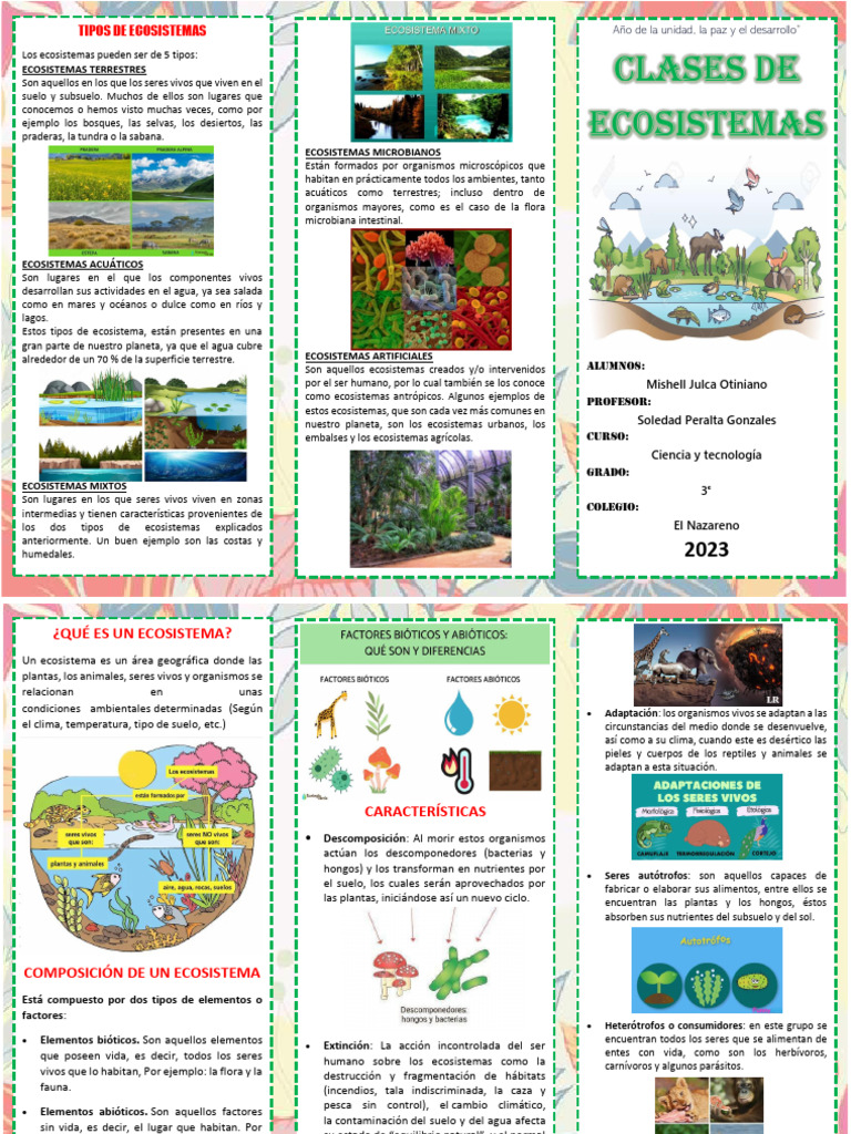 Tipos de Ecosistemas para Niños | PDF | Ecosistema | Suelo