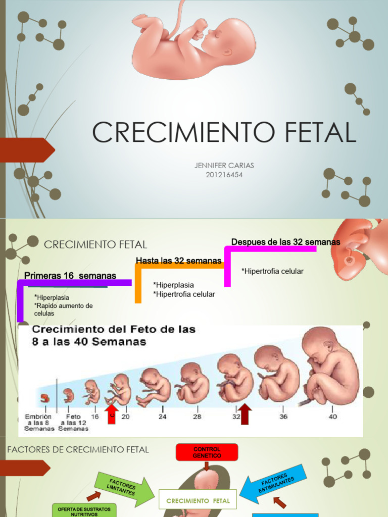 Crecimiento Fetal: Etapas y Manejo | PDF | Feto | Parto