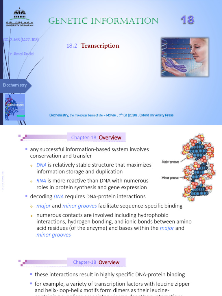 11GC2MS 2023 Chapt 18 | PDF | Promoter (Genetics) | Rna