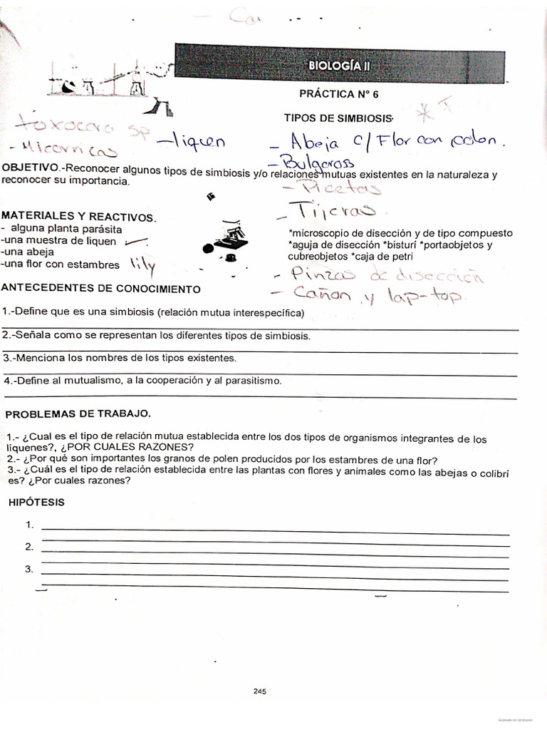 Practica 6 | PDF