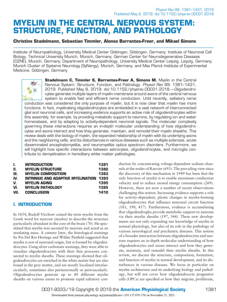 Stadelmann Et Al 2019 Myelin in The Central Nervous System Structure ...