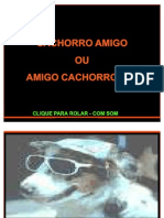 Amigo Cachorro