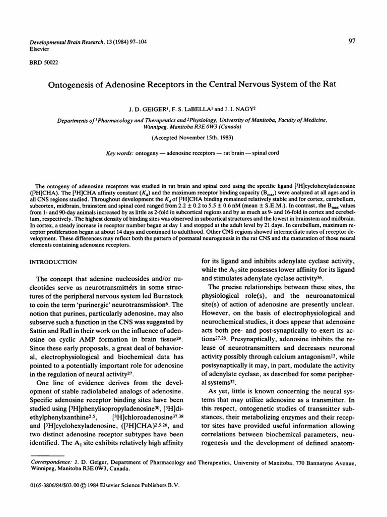 Ontogenesis of Adenosine Receptors in The Central Nervous System of The ...
