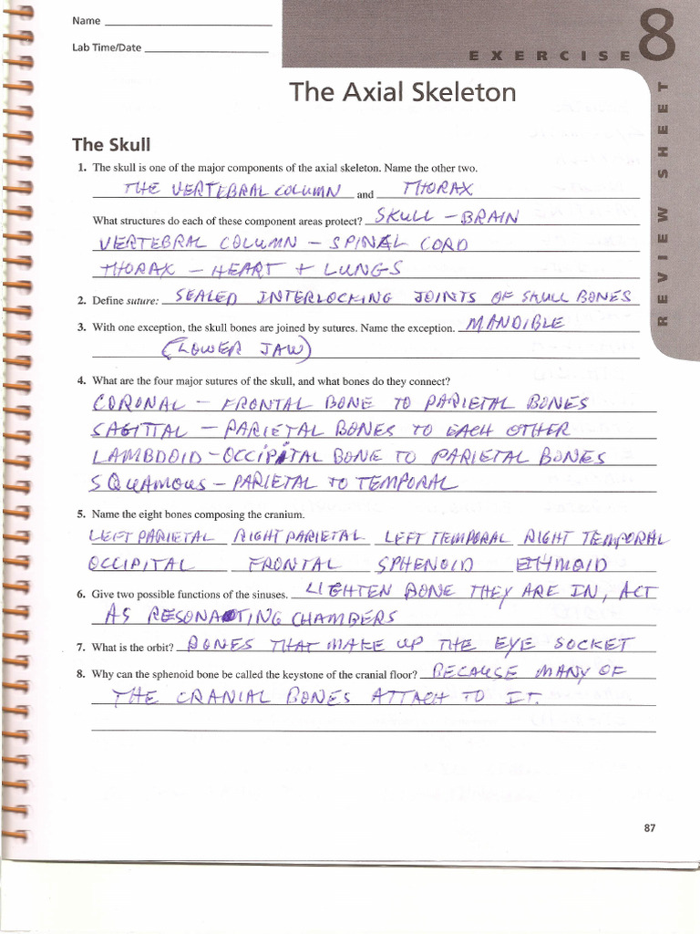 Lab Ex. 8 Review Sheet Answers0001 | PDF
