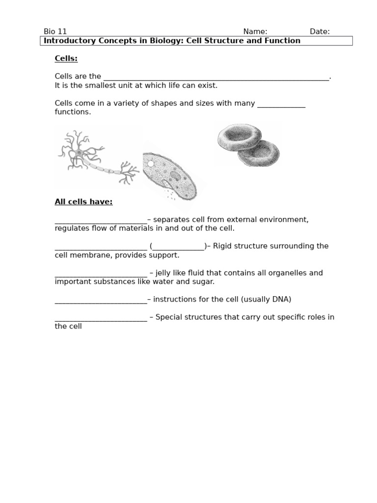 Cell Structure and Function Overview | PDF | Cell (Biology) | Cell Membrane