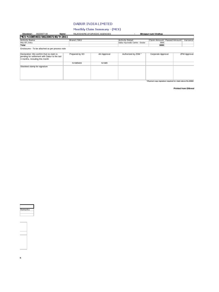 Mcs Report | PDF