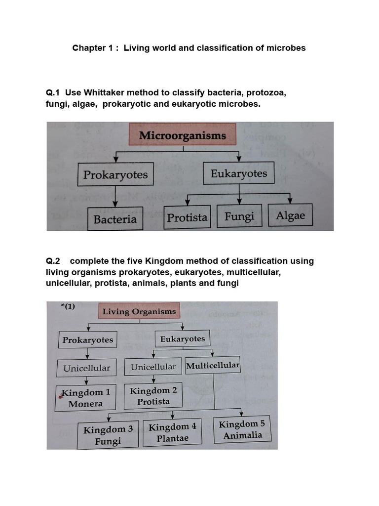 Microbial Classification Guide | PDF | Microorganism | Cell (Biology)